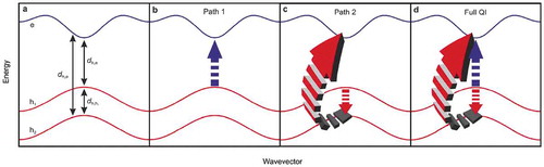 Figure 5. (a) Simplified band structure schematics consisting of two valence bands h1 and h2 (red lines) and one conduction band e (blue line). The allowed transitions are labeled and marked by black arrows. (b) Schematic of the direct excitation path. The transition h1 to e is marked by the blue arrow. (c) Indirect excitation path consisting of the transition h1 to h2 (red arrow) and h2 to e (three-dimensional red arrow). (d) Full quantum interference (QI): combination of the direct excitation path and the indirect excitation path. Adapted from Ref. [Citation6].