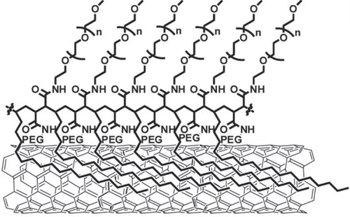 Figure 25. Structure of SWCNTs modified by polymeric PEG. Reprinted with permission from A J Andersen et al 2013 ACS Nano 7 1108. Copyright 2013 American Chemical Society.