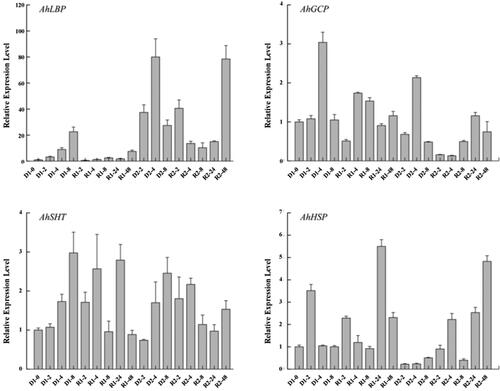 Figure 2. Expression patterns of genes encoding AhLBP, AhGCP, AhSHT and AhHSP during repeated dehydration stress in Arachis hypogaea L. The x-axis illustrates different drought and re-watering time. Transcript levels measured in recovered plants before initiating stress treatments are designated as pre-stressed (D1-0) levels. Respectively, D1-2, D1-4 and D1-8 represent that plants are dry for 2, 4, 8 h during the first dehydration stress, while R1-2, R1-4, R1-8, R1-24, R1-48 are defined as the first rehydration of plants for 2, 4, 8, 24, 48 h. And so on to the second drought and re-watering treatments. The y-axis shows the gene expression levels after normalization to internal control gene AhACTIN. Results are the average of at least two independent experiments, each with three replicates, and the representative experiment shown indicates the mean ± s.e.m., n = 3 replicates.