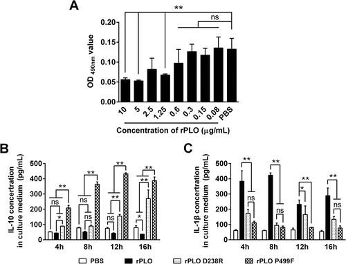 Figure 8. Expression levels of IL-1β and IL-10 in BMDMs treated with rPLO or its mutants at sublytic concentrations.
