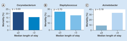 Figure 5. Mortality rates of the three nasal bacterial types based on different lengths of intensive care unit stay. (A) Mortality of the Corynebacterium type based on different lengths of intensive care unit (ICU) stay. (B) Mortality of the Staphylococcus type based on different lengths of ICU stay. (C) Mortality of the Acinetobacter type based on different lengths of ICU stay.