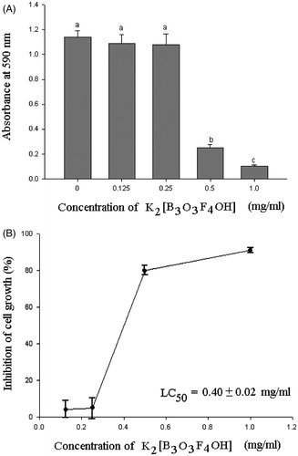 Figure 1. Cytotoxic effect of 0.125, 0.25, 0.5 and 1.0 mg/ml of K2[B3O3F4OH] on mammary adenocarcinoma 4T1. (A) Cell survival rate measured by crystal violet assay. Absorbance at 590 nm is proportional to the number of surviving cells. Different small letters above bars indicate statistically significant differences among groups (p < 0.05, least significant difference (LSD) post hoc test). (B) Inhibition of cell growth expressed as percentage growth inhibition in reference to control cells.