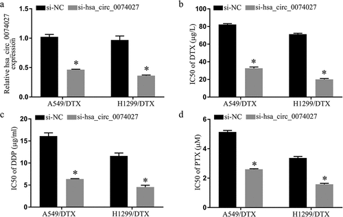 Figure 2. Hsa_circ_0074027 (HC0074027) downregulation inhibited chemoresistance in DTX-resistant NSCLC cells. A. HC0074027 quantification, via RT-qPCR, after silencing. IC50s of DTX (b), DDP (c), and PTX (d). The presented data are mean of 3 replicates, and *p < 0.05