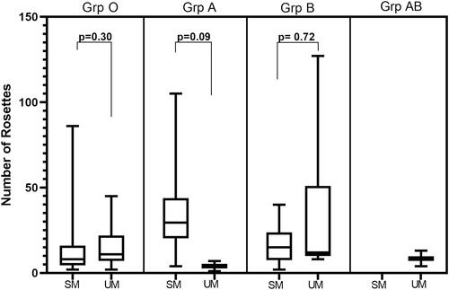 Figure 4 Association between number of rosettes and disease categories in different ABO blood group types. The middle line represents the median and the lower and upper bars are the minimum and maximum number of rosettes.