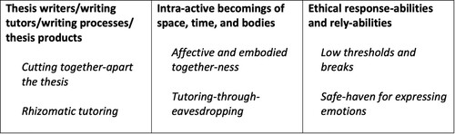 Figure 1. Three entanglements producing the workshop practices.