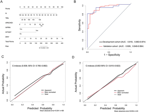 Figure 2 Establishment and validation of clinical prediction model. (A) Nomogram lists of the prediction model; (B) ROC curves of the prediction model; (C) Calibration curves of the nomogram in the development cohort; (D) Calibration curves of the nomogram in the validation cohort.