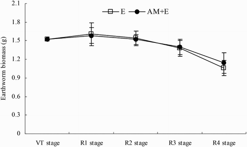 Figure 2. Dynamic changes of earthworms biomass in AM and AM + E treatments from VT to R4 stage. Bars represent means ± SEs (n = 4). E stands for the chamber with earthworms; AM + E for the chamber with earthworms and indigenous hyphae access.