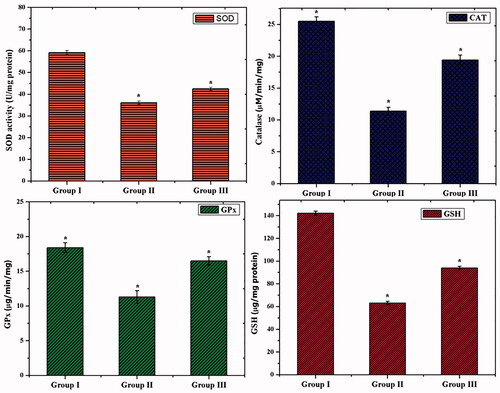 Figure 8. Assessment of antioxidant activities in in GDM and CS–ZnO–RS treated rats.