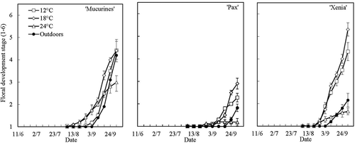 Figure 5. Time courses of floral initiation and differentiation in three gooseberry cultivars grown at four temperatures under natural daylength conditions at Ås and Apelsvoll. Data are means (± SE) of three lateral buds from the main shoot of three replications with three plants each (Exp. I).