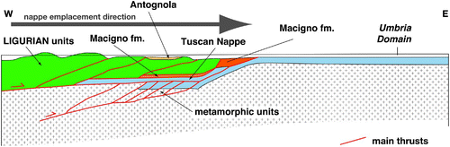 Figure 4. Schematic cross section of the Northern Apennines in the Aquitanian time.
