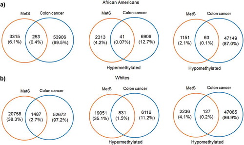 Figure 8. Venn diagrams showing the of significant hyper and hypomethylated genes among AA and Whites in MetS and colon cancer TCGA dataset (a) African Americans (b) Whites.