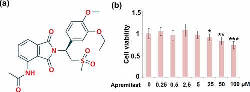 Figure 1. Cytotoxicity of Apremilast in human nasal epithelial cells (hNECs). Cells were stimulated with Apremilast (0, 0.25, 0.5, 2.5, 5, 25, 50, 100 μM) for 24 hours. (a). Molecular structure of Apremilast; (b). Cell viability was measured by the CCK-8 assay (*, **, ***, P < 0.05, 0.01, 0.001 vs. Vehicle group)