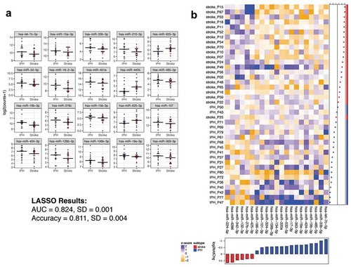 Figure 5. Ex-miRNAs can distinguish IPH from ischaemic stroke. (a) The top 20 miRNAs by lowest p-value are shown in the dot-plots. Dots represent mean counts for the given miRNA per patient across the stroke subgroups. Statistical significance was determined by DESeq2 with Benjamini-Hochberg method employed to adjust for multiple comparisons. (b) The heatmap depicts the ex-miRNAs selected by LASSO analysis with best discriminatory power. The graph below the heatmap displays the direction of regulation of the miRNA selected by LASSO.