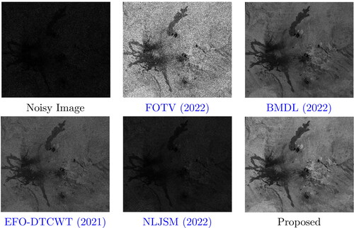 Figure 12. JPL3 image corrupted with G0 noise, after denoising with the proposed algorithm and other conventional algorithms.