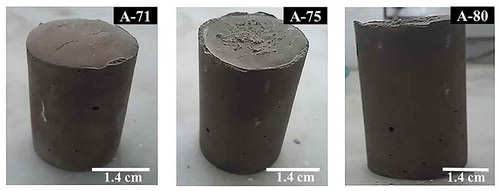 Figure 1. Representative soil-based geopolymer mortars after heating at 60°C for 24 h