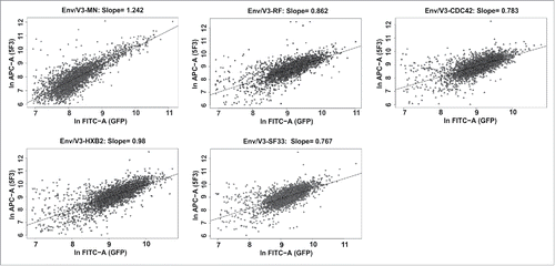 Figure 4. Correlated expression of V3 envelope variants and eGFP. 3 × 105 cells of each HEK293 stable cell line were induced with doxycycline (1 µg/ml) 24 h before flow cytometry analysis. The cells were harvested and stained with 5F3 and goat anti-human-APC as a secondary antibody. Measurements were performed in duplicates. 2.5 × 104 cells were recorded per sample and the correlation between APC and GFP signal intensities was analyzed for each stable cell line (3000 events shown).