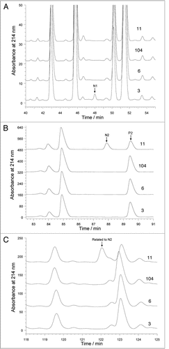 Figure 4 Comparison of tryptic (A and B) and chymotryptic (C) peptide maps of rhumAb B materials derived from the top four clones: #3, #6, #104 and #11, in the specific regions. The peptide peak labeled as P2 in (B) is identified to be an expected peptide with sequence of TPEVTCVVVDVSHEDP EVK, P2 was named after N2 to imply they are related.