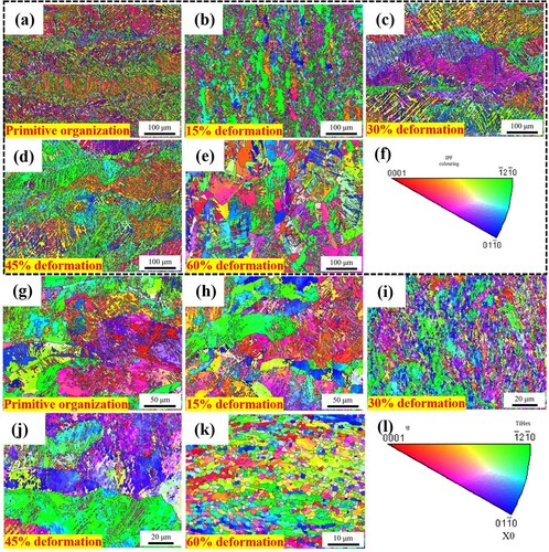 Figure 13. Grain orientation maps and IPF maps of the Ti6Al4 V (a-f) and TiC/Ti6Al4 V composites (g-l) formed by SLM under different deformation amounts at 900°C and 1s−1 strain rates.