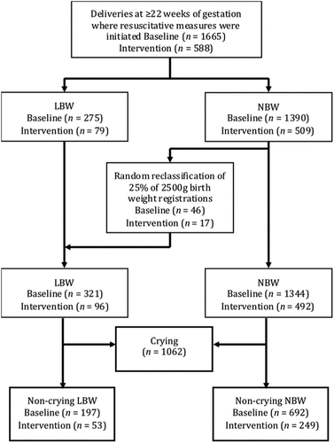 Figure 2. The total number of low birth weight (LBW) and normal birth weight (NBW) infants where resuscitation was recorded in the used data-set from a Helping Babies Breathe study in Kathmandu, Nepal.