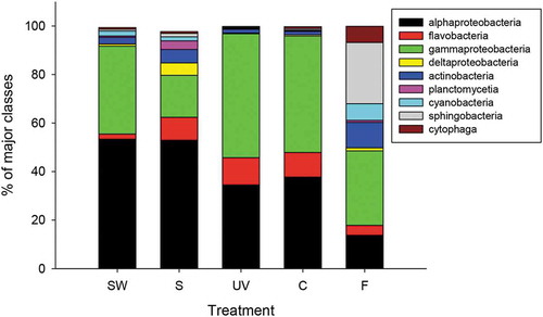Fig. 5 The main classes of bacteria associated with Gelidium lingulatum from La Pampilla before (S) and after the experiment and present in seawater (SW) during the period of the study. F – microbial communities associated with field thalli. C – microbial communities on control (just PAR). UV – microbial communities on thalli that were exposed to PAR+UV. Data are the mean percentage (n = 3) of OTUs belonging to classes of bacteria