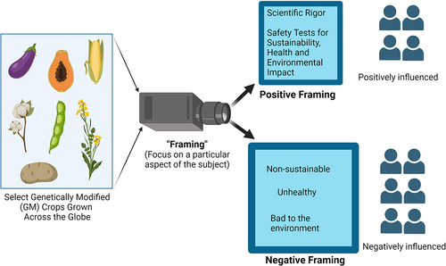 Figure 2. Framing of GM crops influences consumer attitudes.