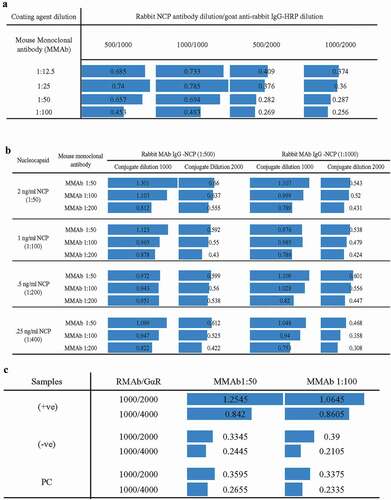 Figure 1. Checkerboard analysis for the development of the assay method. Each bar represents OD values. (a)The higher bar represents higher detection cross-reaction among test components. (b) Different concentrations of recombinant nucleocapsid (NCP) antigen challenge in various tests conditioned to determine the limit of detection. (c) Positive and negative sample challenge test to validate the method. Upon observing the cross-reaction values, the optimum condition was found with 1:100 dilution for monoclonal mouse anti-nucleocapsid antibody (MMAb), 1: 1000 dilution for monoclonal rabbit anti-nucleocapsid antibody (RMAb), and 1:4000 dilution for goat anti-rabbit secondary HRP conjugated antibody (G?R).