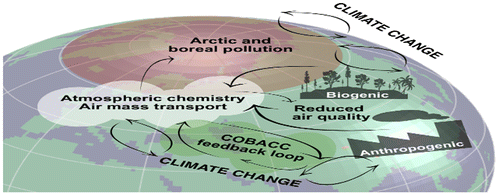 Figure 4. Schematic picture of the interactions and feedbacks between the anthropogenic and biogenic components in the Arctic-boreal area affected by the megacities and industrial areas in China/Russia and consequences for air quality within China/Russia and for the global climate – air quality interactions.