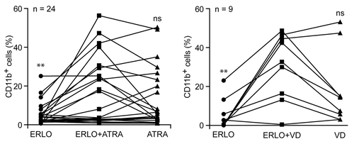 Figure 8. Effects of differentiation-inducing agents on primary leukemic cells from AML patients. CD34+ cells isolated from the peripheral blood of acute myeloid leukemia (AML) patients were treated with 10 μM erlotinib (ERLO), 100 nM all-trans retinoic acid (ATRA), 50 nM 1α,25-hydroxycholecalciferol (VD) or an equivalent volume of DMSO, alone or in combination, for 3 d, then processed for the cytofluorometric assessment of CD11b expression upon immunostaining with a CD11b-specific antibody. Results are expressed as differences between the percentage of CD11b+ cells upon treatment and that recorded in control conditions (i.e., among DMSO-treated cells). n.s., not significant, *P < 0.05, **P < 0.01 (ANOVA plus Student post-hoc t test), as compared with cells treated with ERLO plus ATRA or ERLO plus VD.