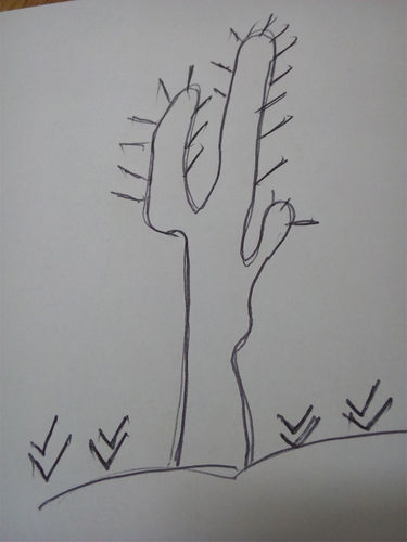 Figure 1. The cactus.