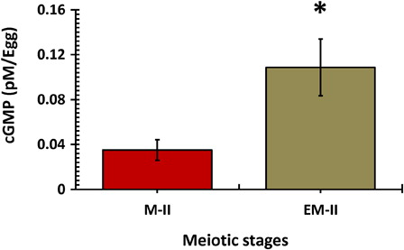 Figure 5. Postovulatory aging induced an increase in cGMP level in eggs. Values are mean ± SEM of three independent experiments. Data analyzed by Student's t-test, *P < 0.001.