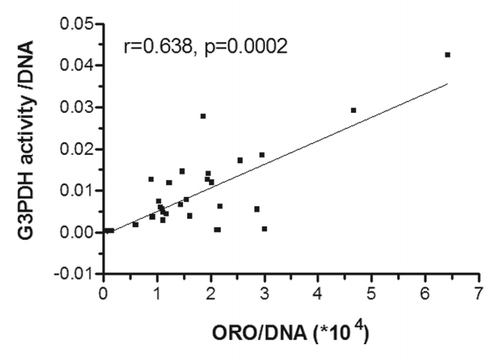 Figure 1. Correlation between adipogenic rates measured by G3PDH activity and oil red O (ORO) lipid staining. Primary cultures of preadipocytes isolated from SC adipose tissue were cultivated under adipogenic condition for 21 d. ORO quantification was performed for 35 samples and G3PDH activity for 29 samples. Pearson correlation coefficient is shown.