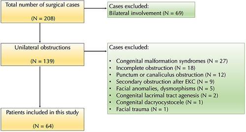 Figure 1 Flow diagram of the included cases in this study.