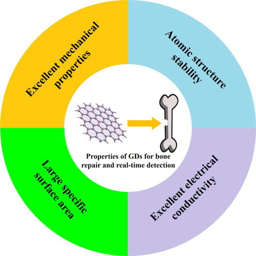 Figure 1 The various properties of GDs for bone repair and real-time detection.