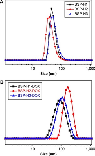 Figure 6 DLS curves of the micelles prepared from BSP-H1, BSP-H2, and BSP-H3 (A), and BSP-H-DOX pro-drug variants (B).Abbreviations: DLS, dynamic light scattering; BSP, branched star polymer; DOX, doxorubicin.