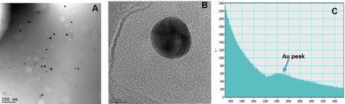 Figure 4 (A) Core size distribution of AuNPs in 'Nano Swarna Bhasma' (NSB) drug by TEM, (B) STEM image shows lattice structure of Au, (C) Graph shows presence of Au in NSB drug by EELS.