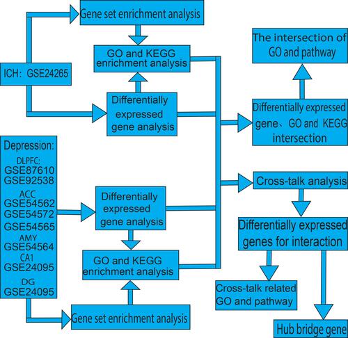 Figure 1 Study flowchart.