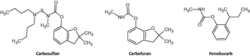 Figure 1. Structures of the three carbamate insecticides. Carbosulfan is metabolised to carbofuran.