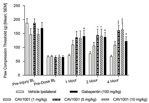 Figure 4 Efficacy of CAV1001 in SNL-induced mechanical hyperalgesia.Notes: +: p<0.05; *; p<0.05; ***: p<0.0003 (one-way ANOVA).