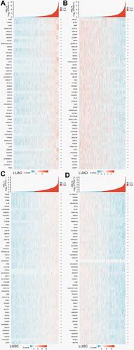 Figure 6 Correlation analysis of ARL14 in LUAD and LUSC. (A) Top 50 genes most positively associated with ARL14 in patients with LUAD were shown in a heatmap. (B) Top 50 genes most negatively associated with ARL14 in patients with LUAD were shown in a heatmap. (C) Top 50 genes most positively associated with ARL14 in patients with LUSC were shown in a heatmap. (D) Top 50 genes most negatively associated with ARL14 in patients with LUSC were shown in a heatmap. *p< 0.05; **p<0.001.