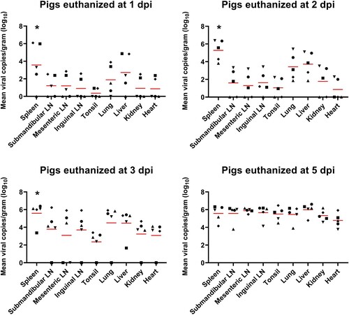 Figure 1. ASFV DNA copies in the various organ tissues (approximately 1 g) collected from pigs in the ASFV infection group. Red bars indicate the mean value in each tested organ tissue. *p < 0.05. LN: lymph node; ASFV, African swine fever virus; dpi, days post-infection
