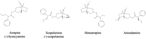 Figure 1. Chemical structures of TAs, including atropine, scopolamine, anisodamine and homatropine (structures from https://pubchem.ncbi.nlm.nih.gov/ (accessed on 30 September 2023)].