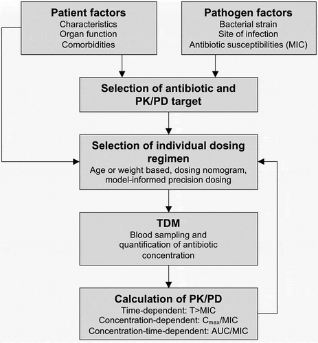 Figure 3. General steps to obtain antibiotic dose optimization (Modified form [54])