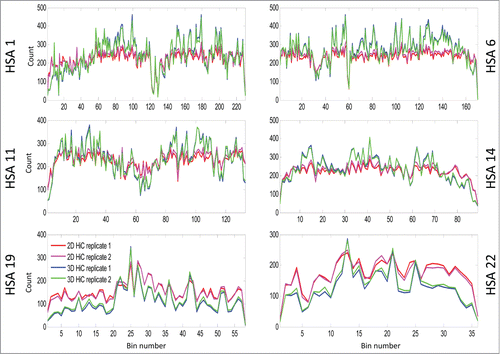 Figure 5. This line plot shows the intra-bin Hi-C counts after RPM normalization within each mega base generated from 2D cells and 3D spheroids. On the X-axis are the coordinates of DNA sequence in mega base from pter to qter of each correspondence chromosome. The Y-axis indicates the diagonal bin counts. Lines in blue and cyan indicate counts for spheroids, and lines in red and magenta represent counts from 2D cells. Increased bin-wise counts in spheroids are seen in large regions on HSA 1, 6, 11, 14, and decreased bin-wise counts in spheroids are seen on HSA 19 and 22. If you want to include ICE figures, the figure legend will be nearly the same – simply indicate that ICE and RPM were applied before the analyses.