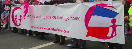 Figure 3. ‘We want jobs, not gay marriage!’ Protest sign by ‘Muslims for Childhood’, at a Manif Pour Tous march. Photo: the author.