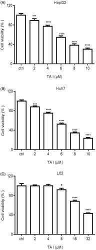 Figure 1. TA I inhibits the proliferation of HepG2, Huh7, and L02 cells. The growth inhibitory effect of TA I was measured using the CCK-8 assay. (A) Cell viability was observed after treatment with TA I (0, 2, 4, 6, 8, and 10 μM) for 24 h in HepG2 cells. (B) Cell viability was observed after treatment with TA I (0, 2, 4, 6, 8, and 10 μM) for 24 h in Huh7 cells. (C) Cell viability was observed after treatment with TA I (0, 2, 4, 8, 16, and 32 μM) for 24 h in L02 cells. Data are presented as means ± standard deviations of three separate experiments. *p < .05, ***p < .001, ****p < .0001. TA: tanshinone; CCK-8: cell counting Kit-8.