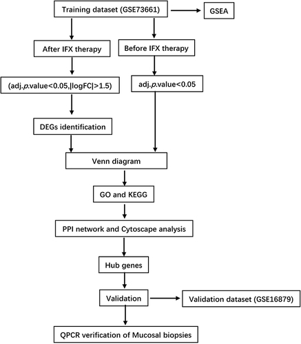 Figure 1 Flow chart of the study.