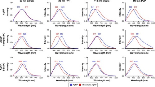 Figure 3 Comparison of mean spectra of agNPs and internalized agNPs.Notes: Macrophages were exposed to agNPs, agNPs with a complex Pc, or agNPs with a Bsa Pc at a concentration of 25 µg/mL for 2 hours. Intracellular AgNPs were then identified, and spectra were averaged to produce mean spectra. Intracellular spectra (red) were then compared to initial AgNP spectra (blue).Abbreviations: NPs, nanoparticles; PC, protein corona; BSA, bovine serum albumin; PVP, polyvinylpyrrolidone.