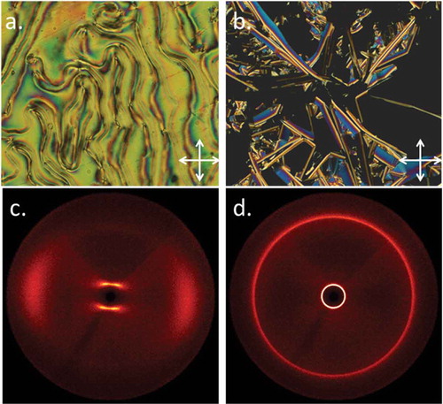 Figure 1. (Colour online) Photomicrographs (100×) of the schlieren texture of the nematic phase of compound 13 (a, 104°C), the curved lancet texture of the SmB phase of compound 13 along with homeotropic regions (b). 2D SWAXS patterns of (c) the magnetically aligned nematic phase of 13 at 76°C, (d) an unaligned sample of the SmB phase of 13 at 50°C.