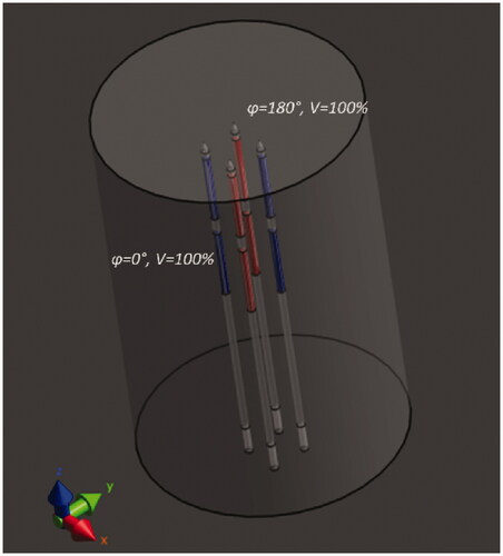 Figure 2. The simulation model used to study the three-dimensional temperature distribution of the TB applicators. Four TB applicators are inserted in parallel in a square spacing in a cylindrical tissue volume. The static phase configuration used is visible. Electrodes in red have a 180° phase shift compared to the blue electrodes.