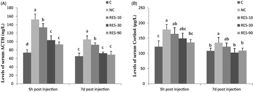 Figure 1. Effect of dietary resveratrol supplementation and diquat challenge on levels of ACTH (A) and Cortisol (B) in piglets. 1C group: basal diet without diquat; NC group: basal diet + diquat; RES-10 group: basal diet +10 mg/kg resveratrol + diquat; RES-30 group: basal diet +30 mg/kg resveratrol + diquat; RES-90 group: basal diet +90 mg/kg resveratrol + diquat. Values are expressed as means ± SE (n = 6). a,b,cMeans values with different letters indicate significantly difference (p < .05).